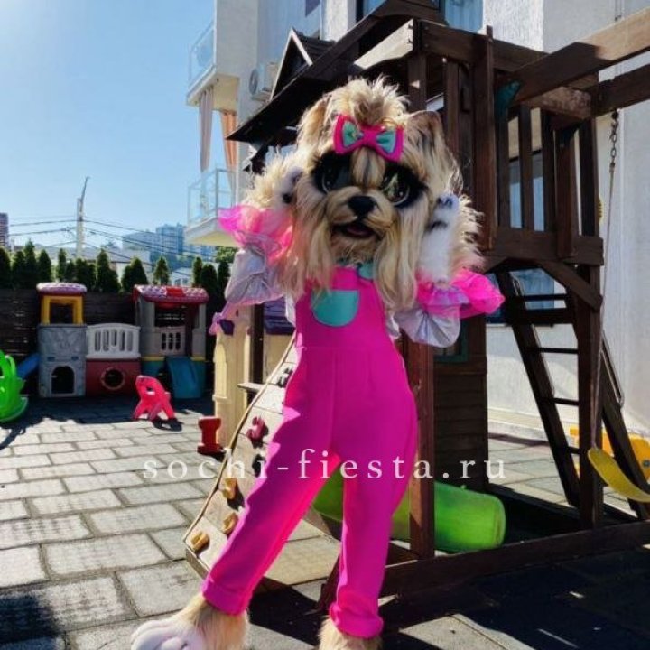 Аниматор Гламурная Собака в Пензе