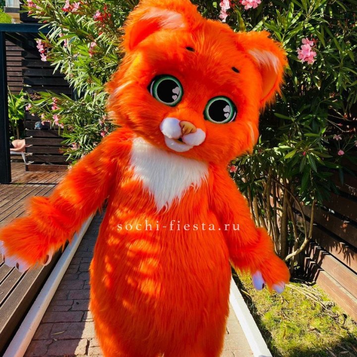 Аниматор Котик в Пензе