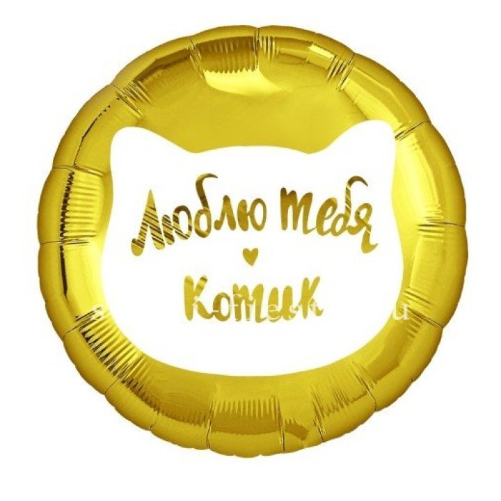 Фольгированный шар "Люблю тебя, Котик" в Пензе