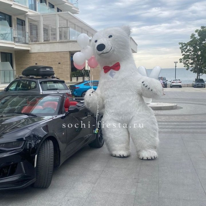 Аниматор Белый Медведь в Пензе