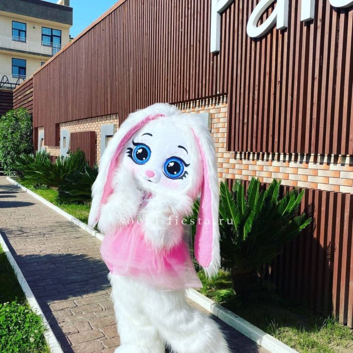 Аниматор Зайка в Пензе