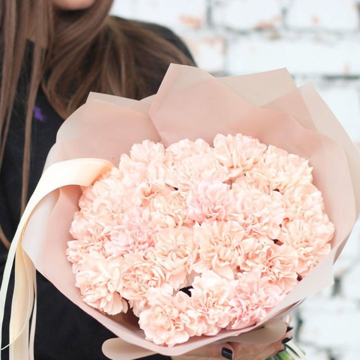 Диантусы №2 в Пензе