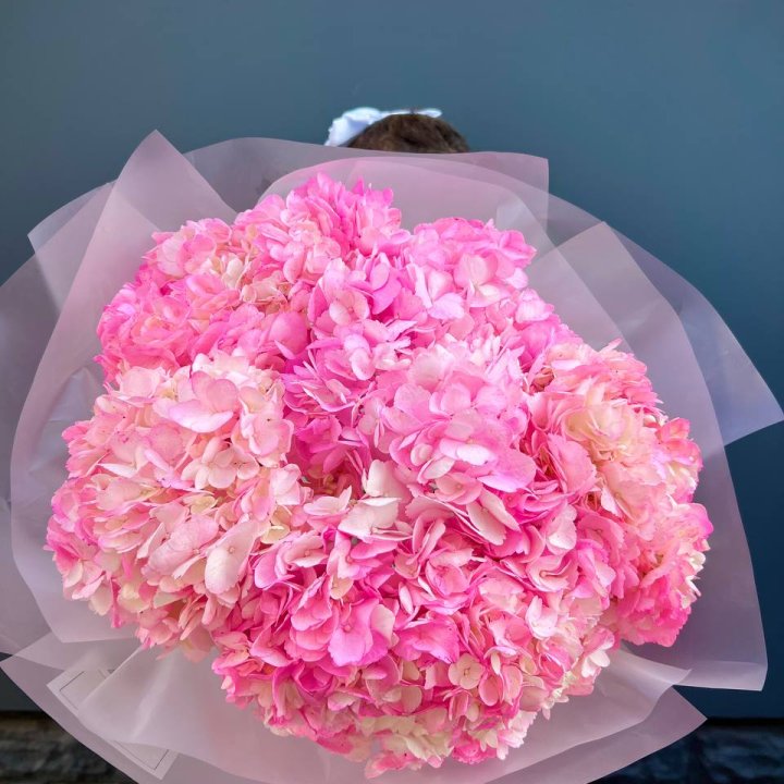 9 ярко розовых гортензий в Пензе