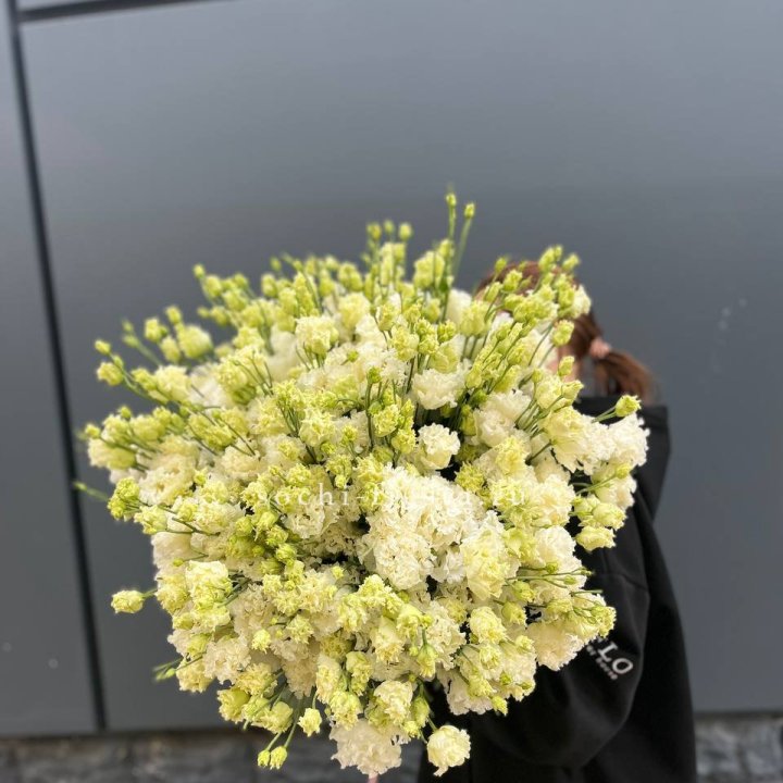 51 белая эустома в Пензе