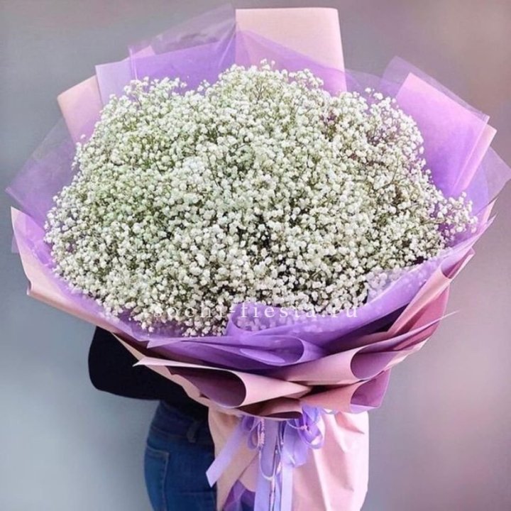 Облако белых гипсофил в Пензе