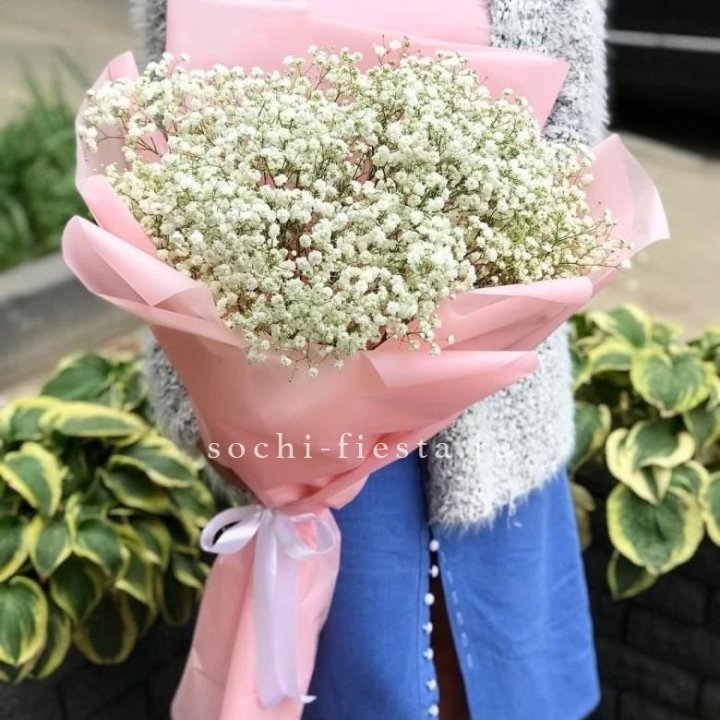 Белоснежные гипсофилы в Пензе