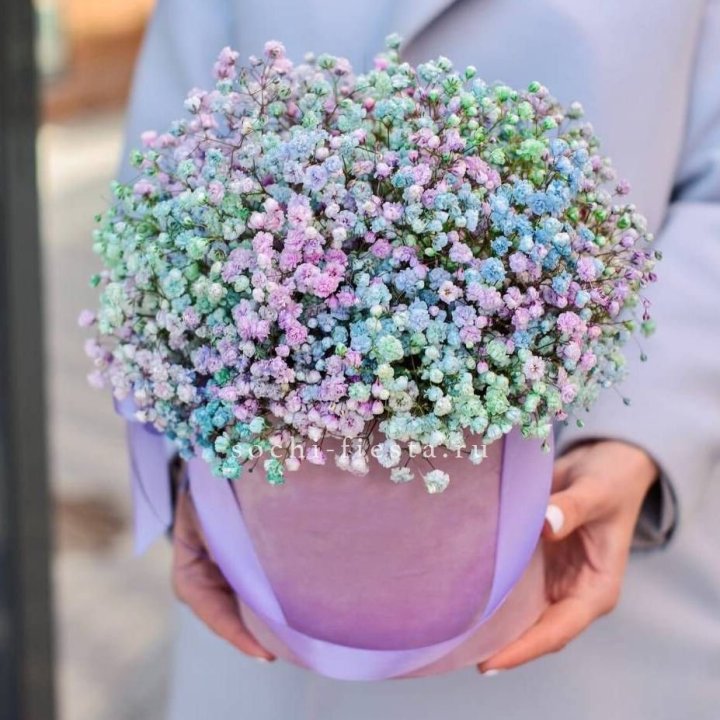 Гипсофилы в шляпной коробке "Кандилайт" в Пензе