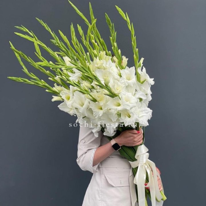 19 белых гладиолусов под ленту в Пензе