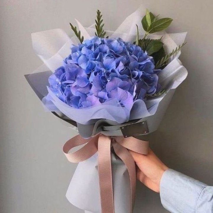 Гортензия голубая в Пензе