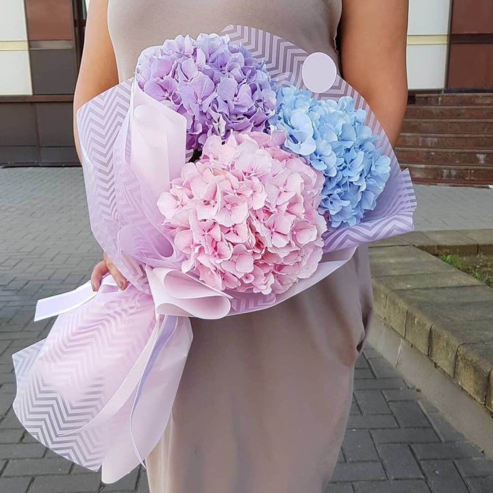 Букет гортензий "Пуф" в Пензе