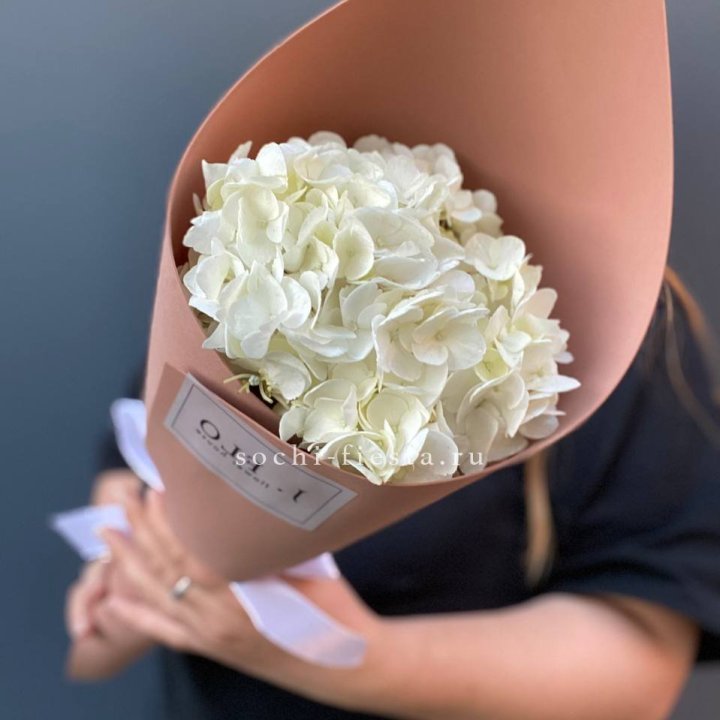 Гортензия в конверте в Пензе