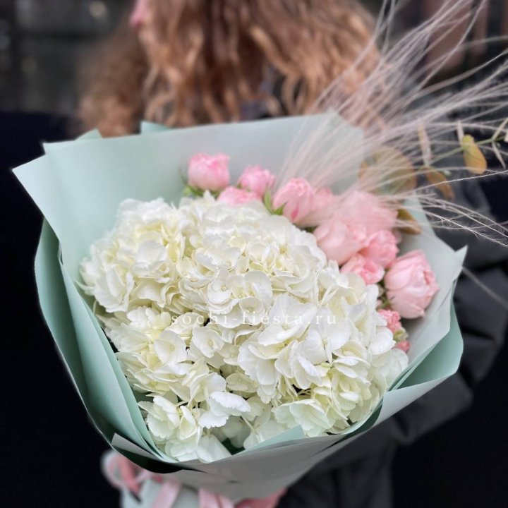 Гортензия "Жасмин" в Пензе