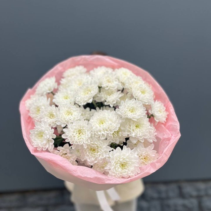  5 хризантем  в Пензе