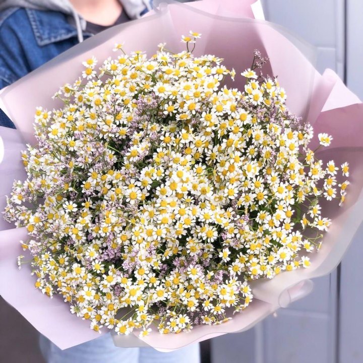 Букет ромашек №1 в Пензе