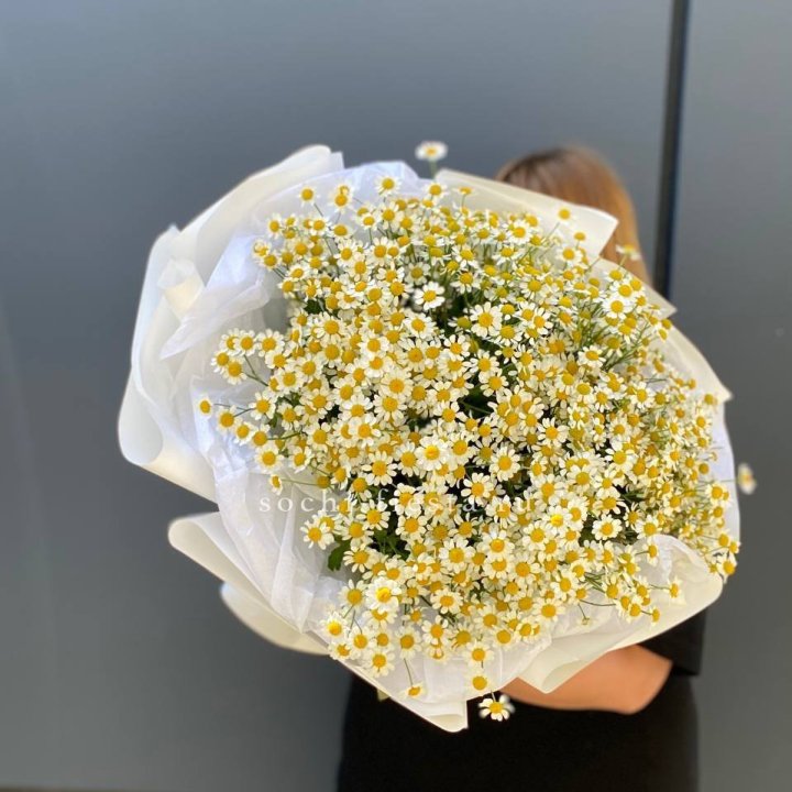 Букет ромашек "Фемели" в Пензе