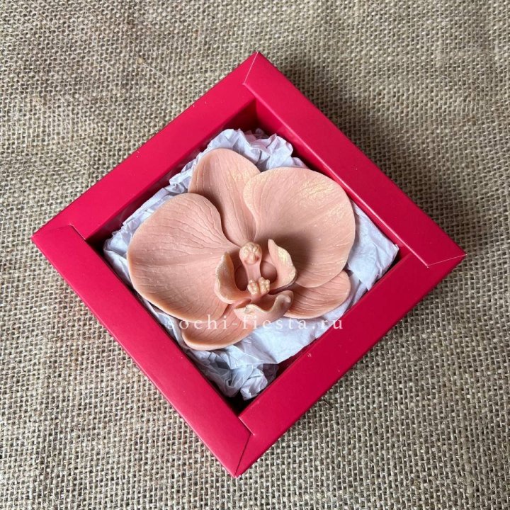 Бельгийский шоколад Орхидея в Пензе