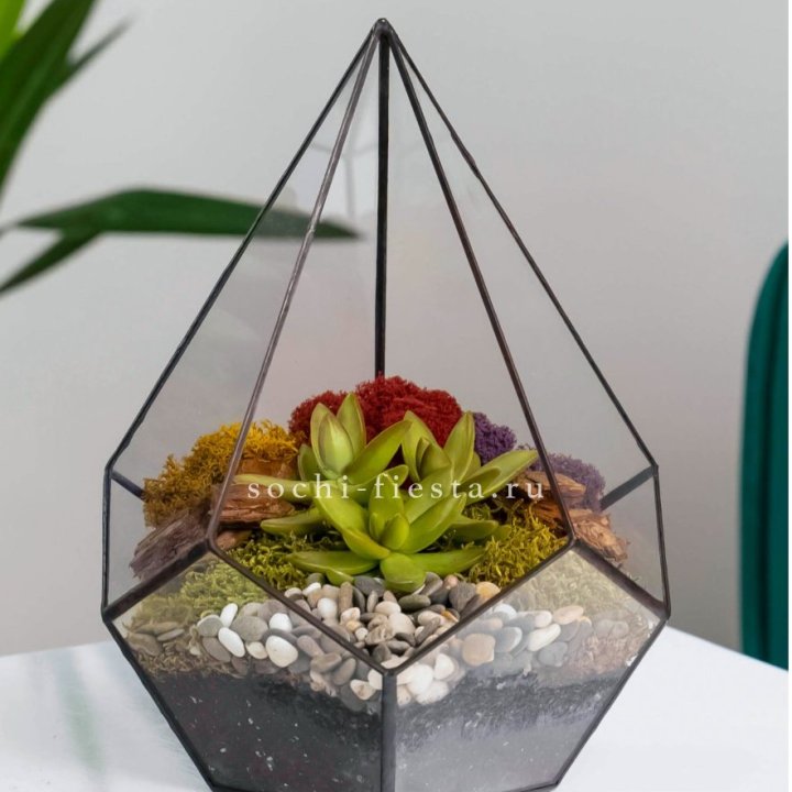 Флорариум Капля с суккулентом в Пензе