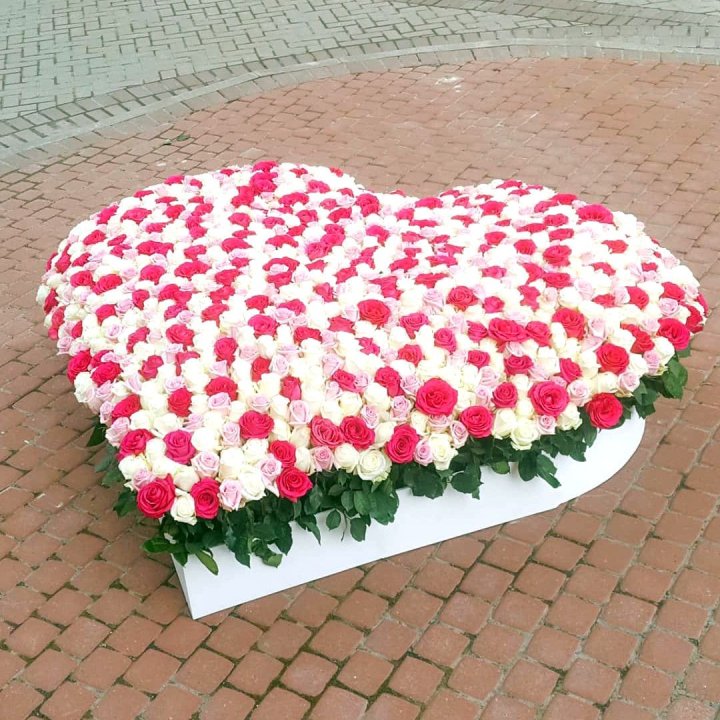 555 роза  в Пензе