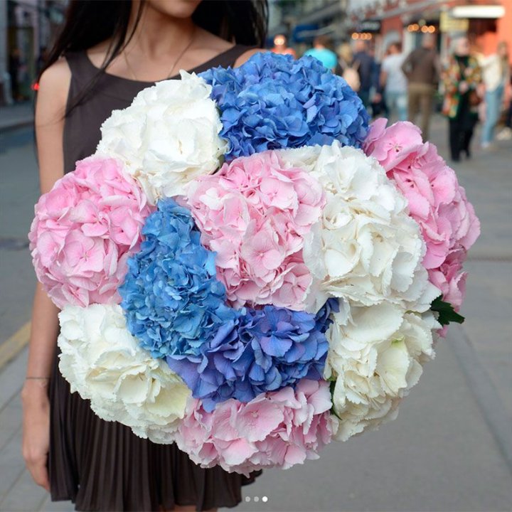 Букет гортензий "Инь-Янь" в Пензе