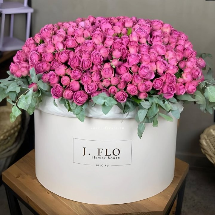 Цилиндр с Мисти Бабблс  в Пензе