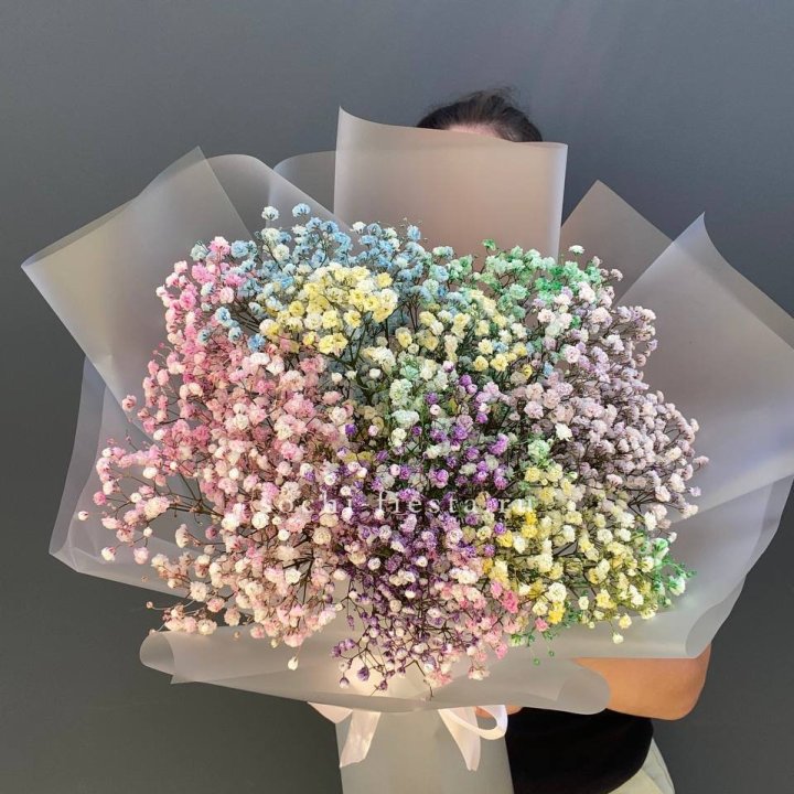 Радужные гипсофилы  в Пензе