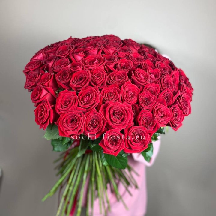 101  голландская роза  в Пензе