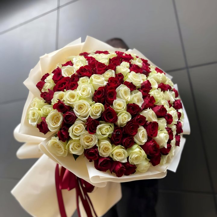 101 высокая импортная роза  в Пензе