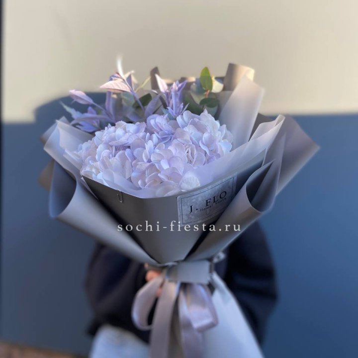 Гортензия "Виолета" в Пензе