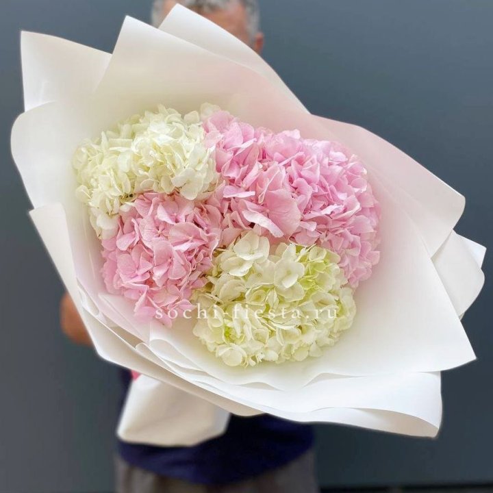 Букет гортензий №5 в Пензе