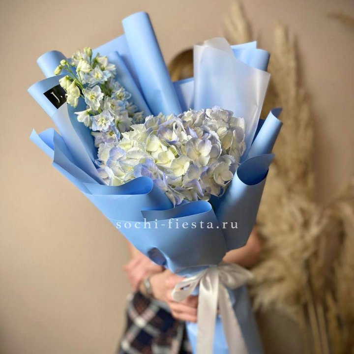 Гортензия "Блю скай" в Пензе