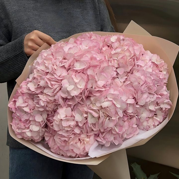 Гортензия  "РОЗЕ" в Пензе