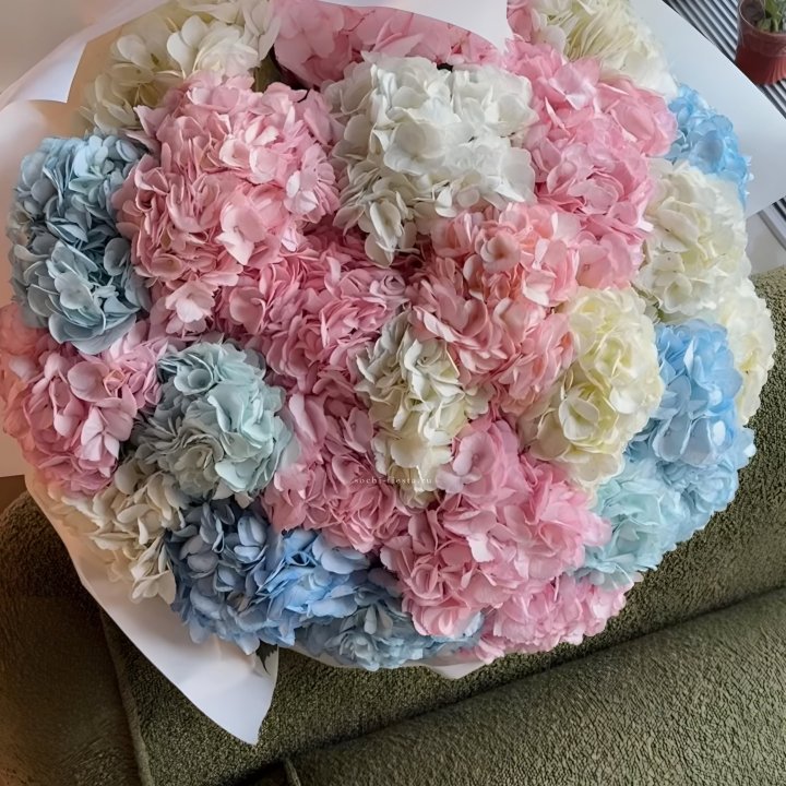 Букет гортензий микс в Пензе