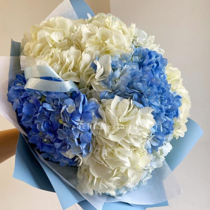 Букет гортензий "Голубая лаза" в Пензе