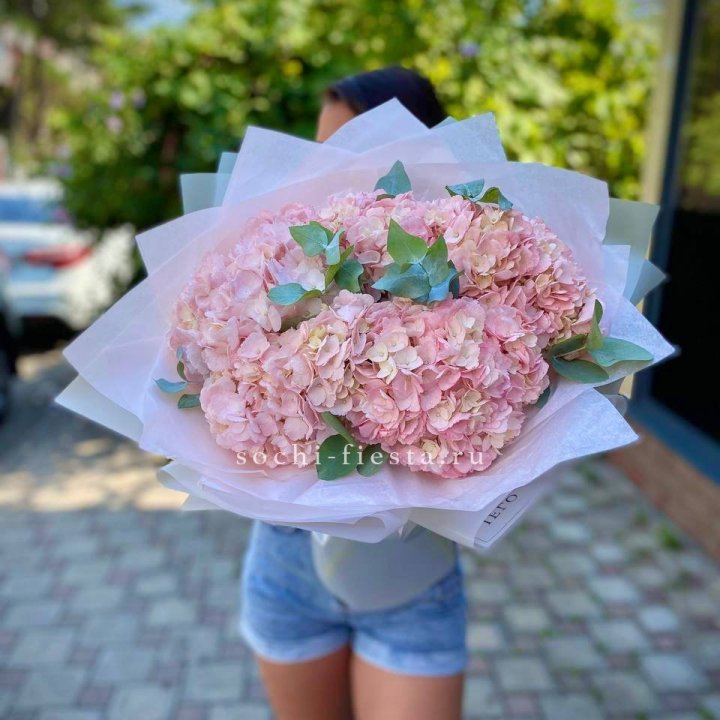 5 розовых гортензий  в Пензе