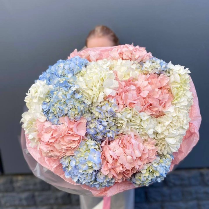 19 гортензий микс в Пензе