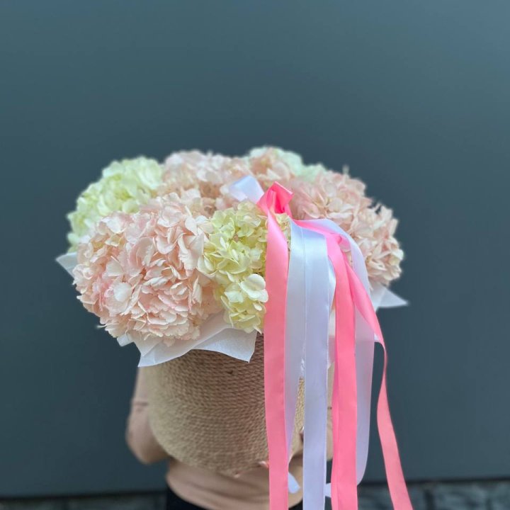 7 гортензий в кашпо в Пензе