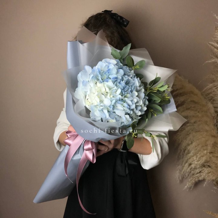 Гортензия Уно в Пензе