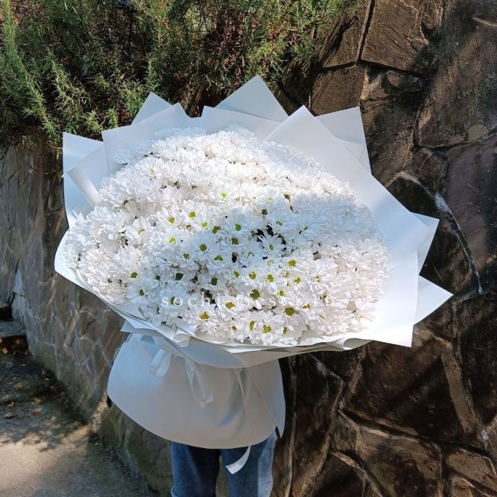 Облако хризантем №2 в Пензе