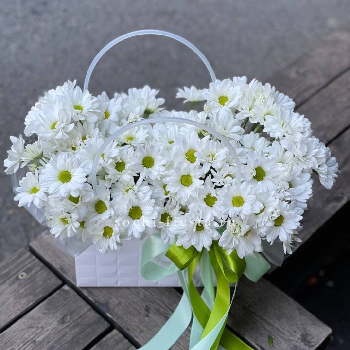 Сумка с хризантемами ромашками в Пензе