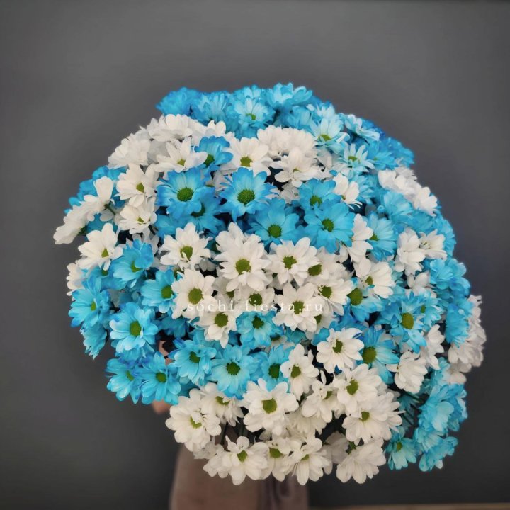  Букет хризантем микс в Пензе