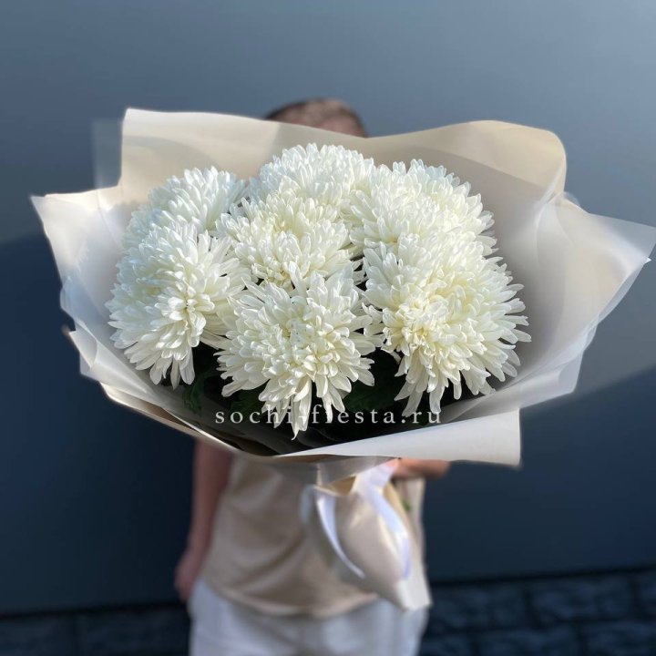 Профитроли в Пензе