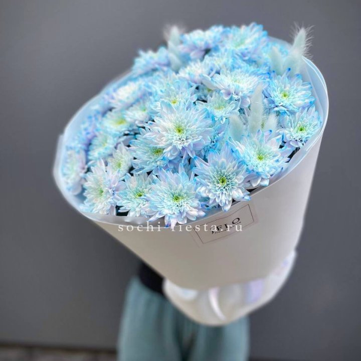  Букет нежно-голубых хризантем  в Пензе