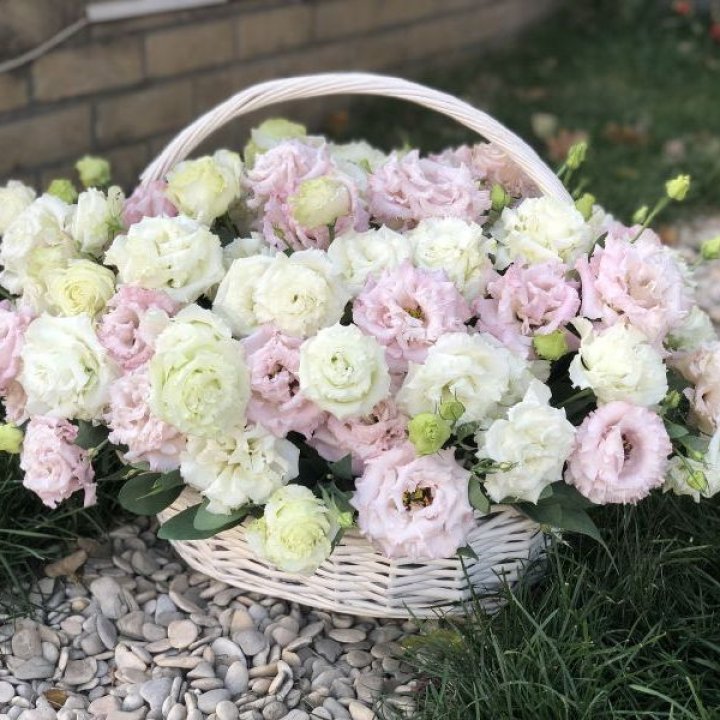 Корзина с эустомой в Пензе
