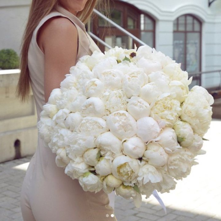 51 белый пион в Пензе