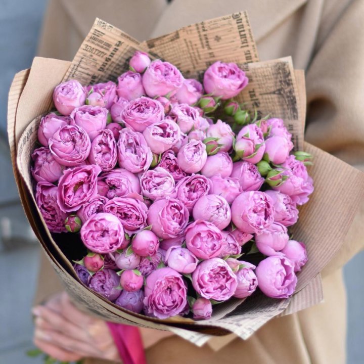 Роза Мисти Баблс в Пензе