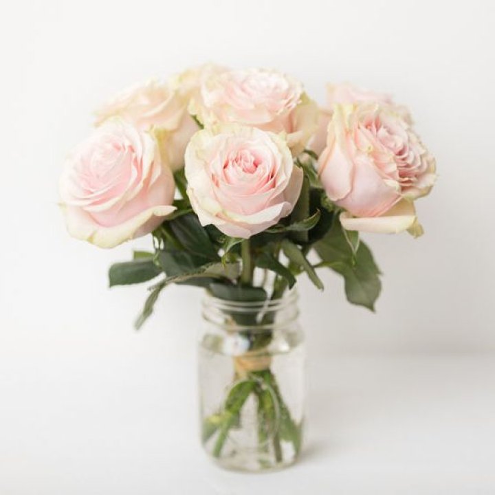 7 кремовых роз в Пензе