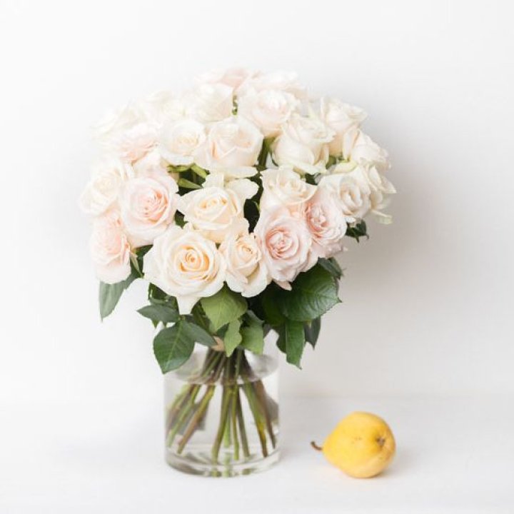 25 кремовых роз в Пензе