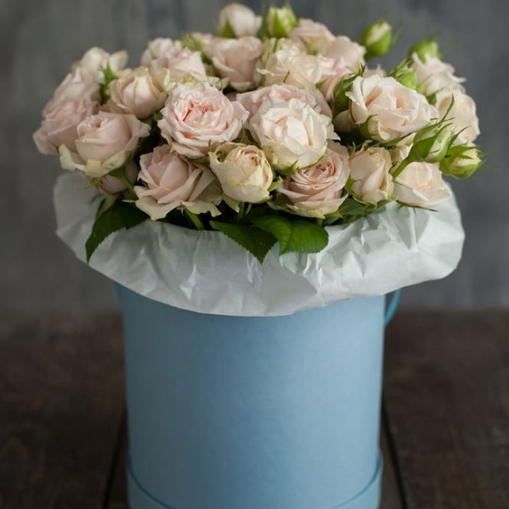 Бокс с бомбастиком в Пензе