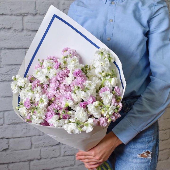 Маттиола в Пензе