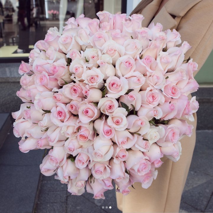 Розы "Пинк бум" в Пензе